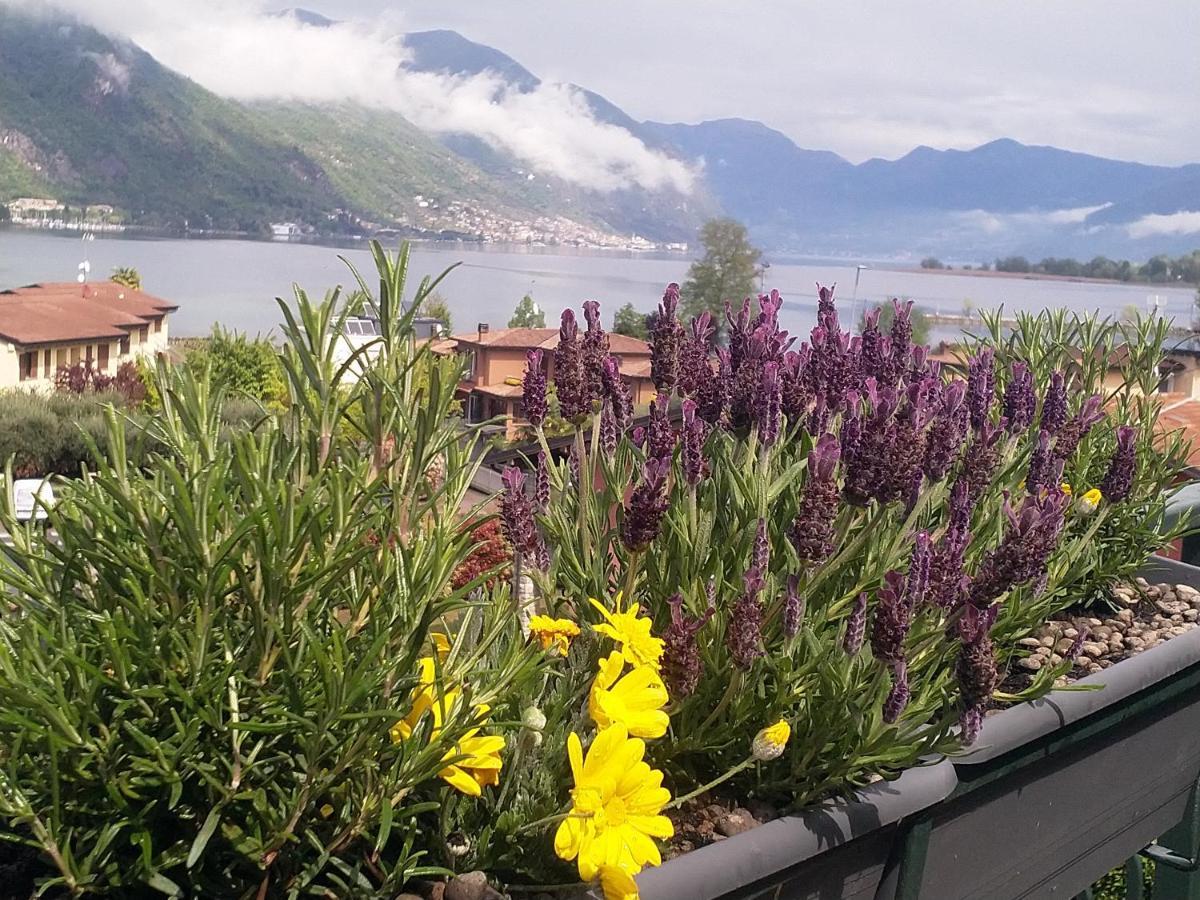 Lake View Terrace Paratico Exterior foto